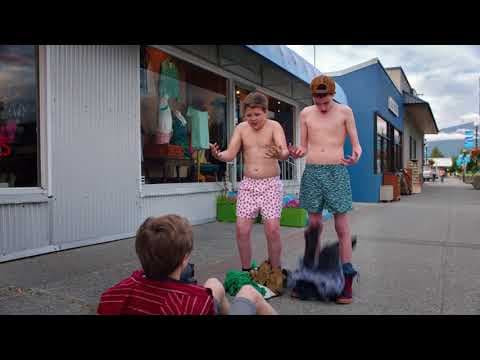 Trailer - Own it Now on DVD & Digital