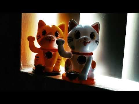 "LOBO" - Teaser #2