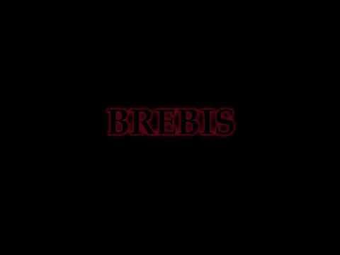 BREBIS TEASER (2024)