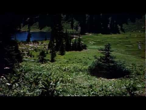 Lassie Come Home 1943 Trailer