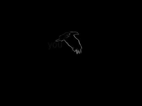 IF YOU NEED ME I WILL FLY Trailer