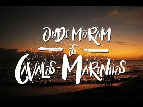 ONDE MORAM OS CAVALOS-MARINHOS / TEASER