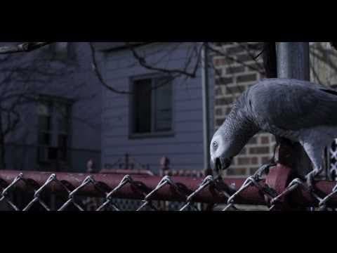 Brink Teaser