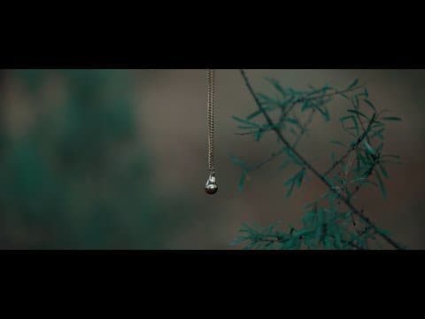 El BOSQUE DEL ECO | Teaser (04-12-24)