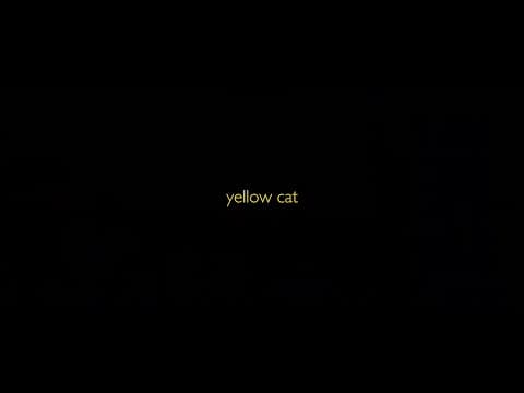 #BIFF2020 A Window on Asian Cinema - Yellow Cat / 아시아 영화의 창 - 노랑 고양이