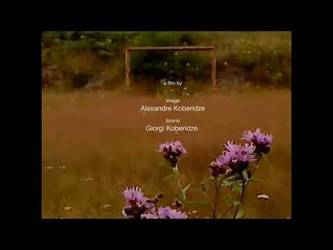 Official Teaser Trailer