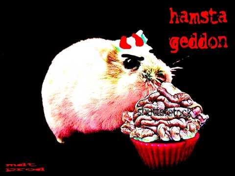 HAMSTAGEDDON