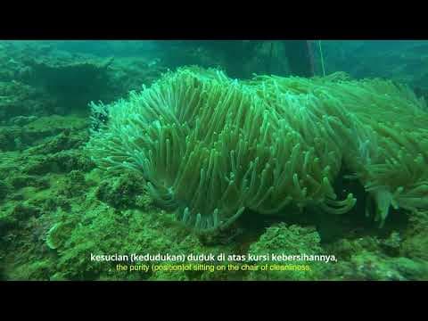 Trailer Terang Terkarang 2026