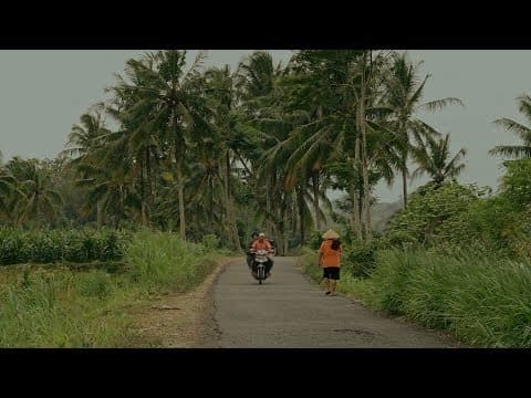 Trailer BHÂKO (The Golden Leaf)