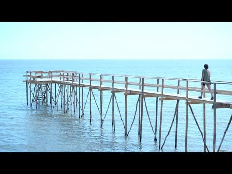 Arutinae | Trailer