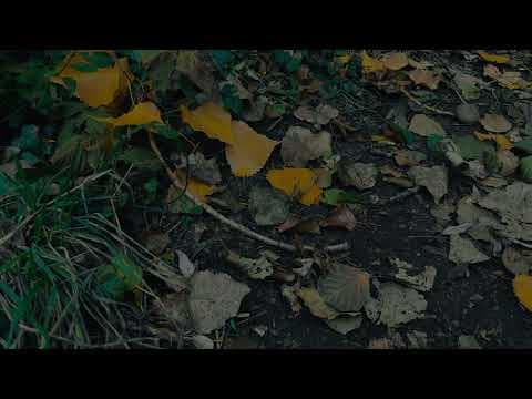Wailing Stones Short Film | Official Trailer