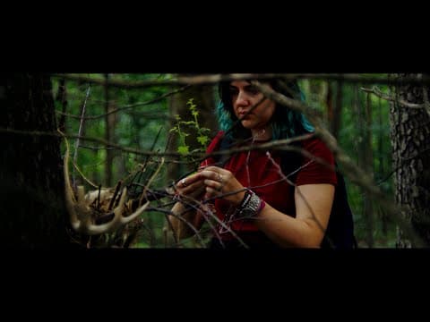 Trailer - Through The Trees