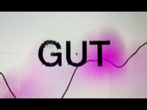 2023 GUT TRAILER