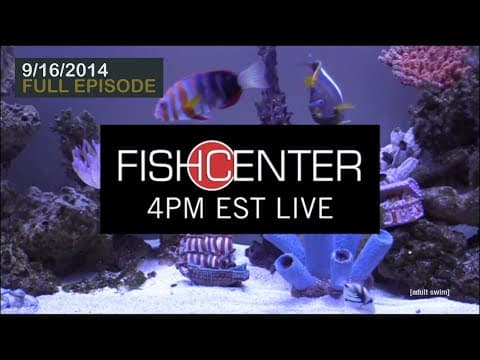 Fishcenter - The First Episode (September 16, 2014)