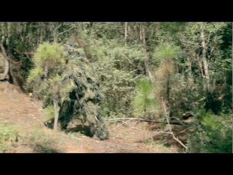Hickory Never Bleeds - Official Trailer