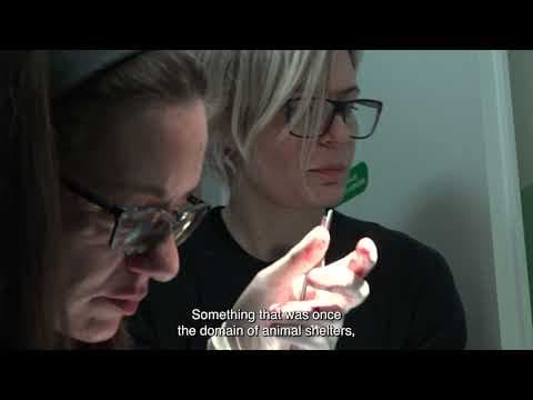 On Cats And Humans | Trailer | BELDOCS 2026