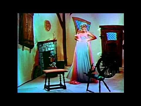 Something Weird Cinderella's Love Lesson