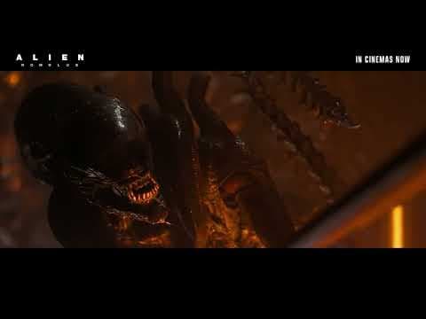 Theater Screams