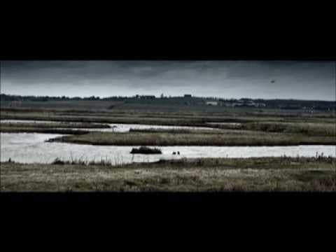 The Hide movie trailer
