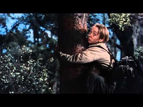 The Yearling - Trailer