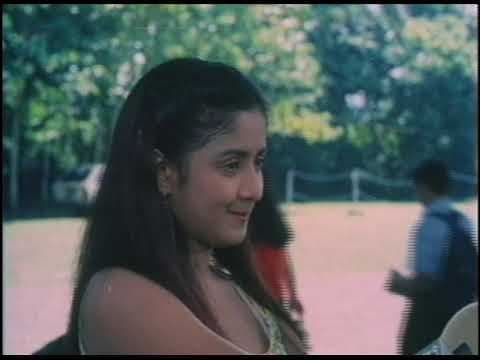 NENE trailer