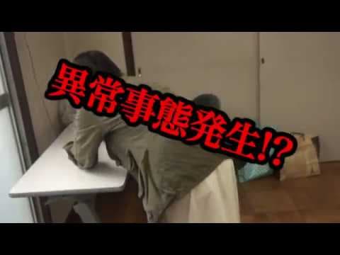 「封印映像34 ひよいくぐり」予告