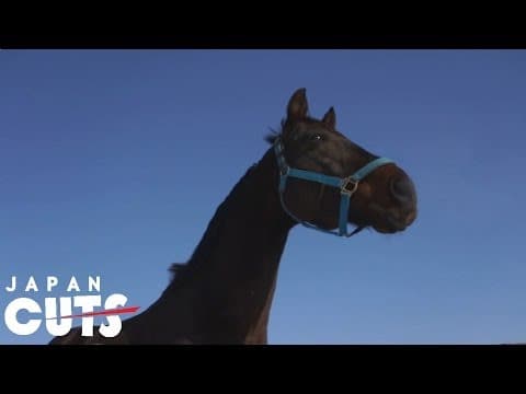"The Horses of Fukushima" trailer (English subtitles) JAPAN CUTS 2014