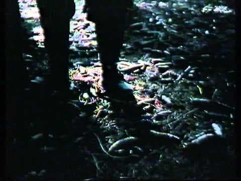 Body Count (1986) Trailer