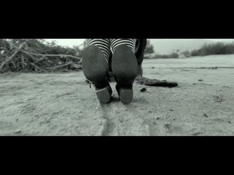 Black Violet Trailer