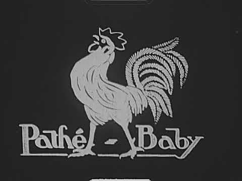 Les Rapaces (1913) Birds of Prey