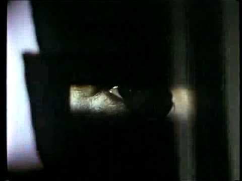 'The Custodian' (1993) Trailer