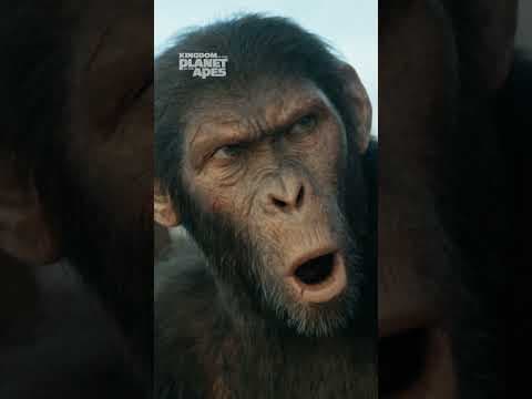 The Chant