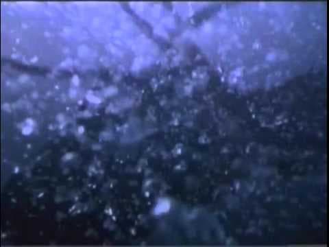 Octopus (2000) Trailer