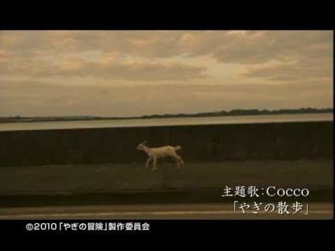 映画『やぎの冒険』予告編