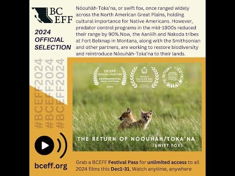 The Return of Nóouhàh Toka'ana (Swift Fox) - BCEFF 2024 OFFICIAL SELECTION