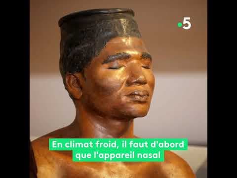 Du soleil et des hommes   Science grand format