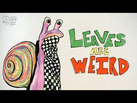 Leaves Are Weird!
