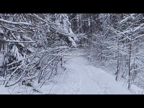 La Féerie Winter — A Short Film