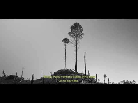 'Un cuerpo estalló en mil pedazos', de Martín Sappia - Trailer