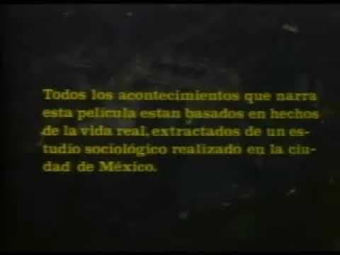 Perro callejero 1 pelicula completa
