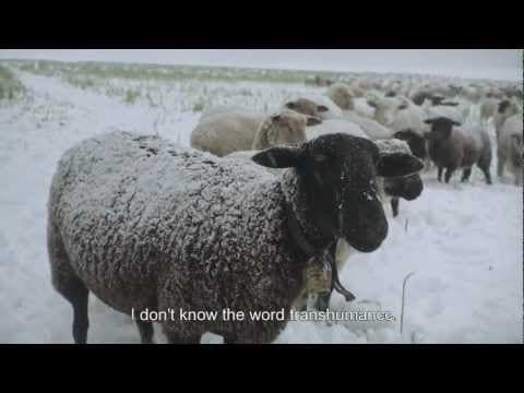 Winter Nomads - Hiver Nomade (Trailer English)