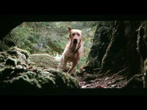 Far From Home: The Adventures of Yellow Dog (1995) theatrical trailer