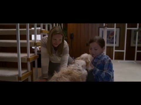 Official UK 60" Trailer