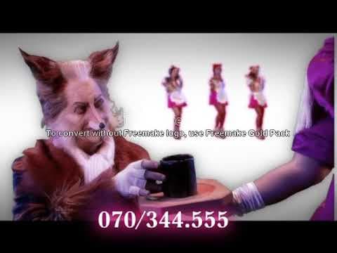 Musical De 3 Biggetjes (2003)