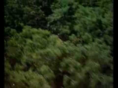 Sunshine (1999) Trailer - Ralph Fiennes