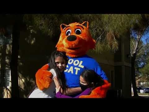Movie Trailer - "Cool Cat vs Dirty Dog - The Virus Wars"