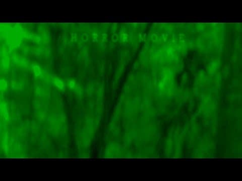 Real Life Horror Movie of Louisiana Bigfoot, Rougarou Evidence. Terrifying New Footage.