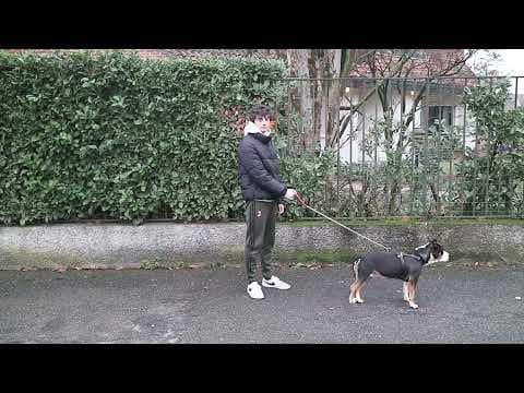 Waiting Session (50$) | TRAILER