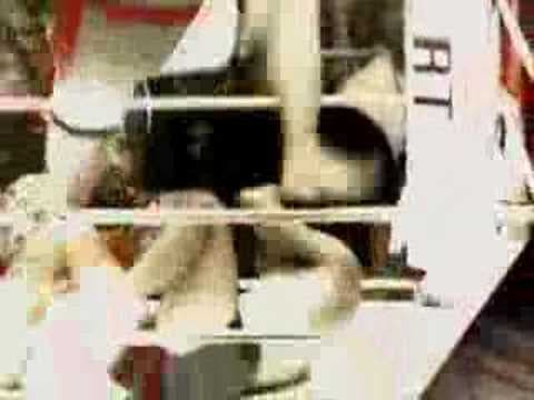 Wanderlei Silva Tribute - Pride FC
