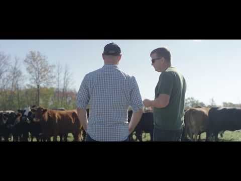 Before The Plate Official Trailer #1 (2018)